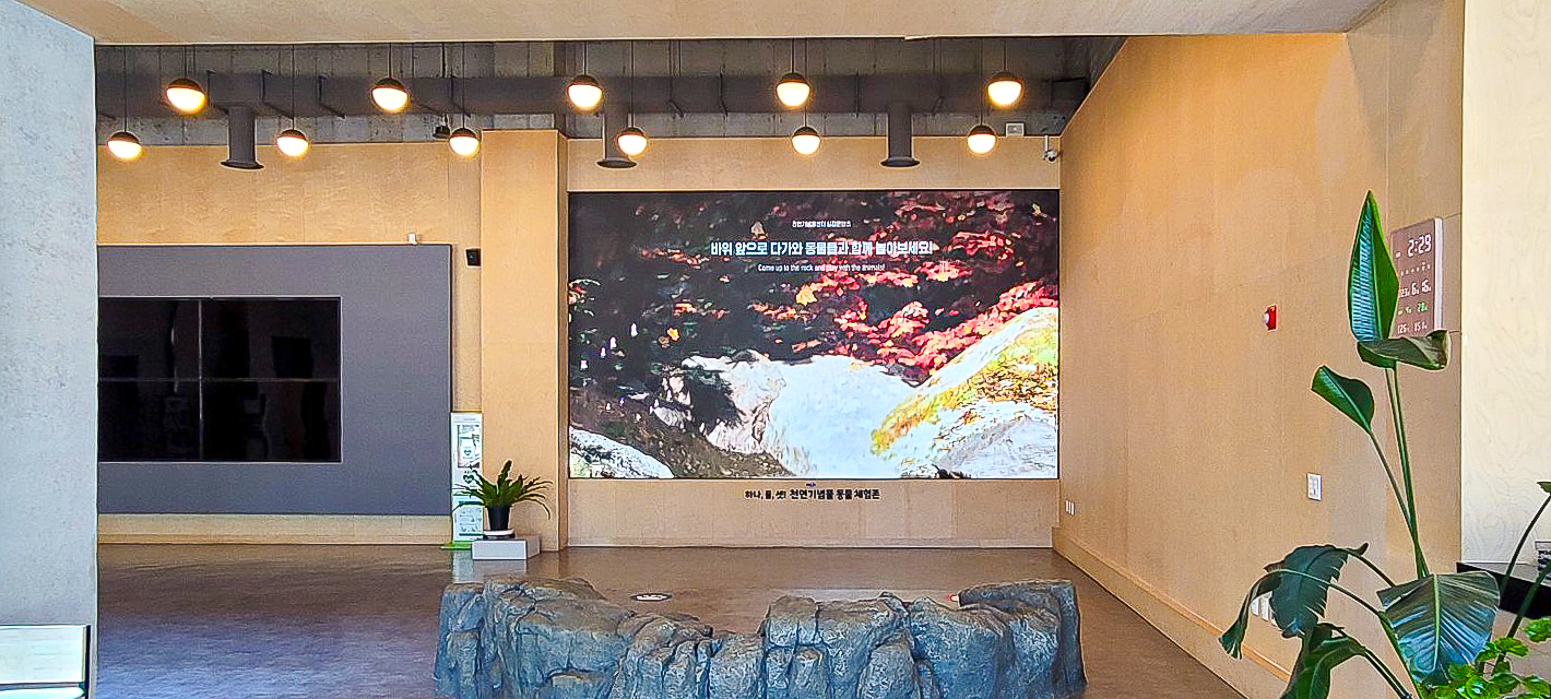 대전 천연기념물 센터 관람실 LED 스크린-01