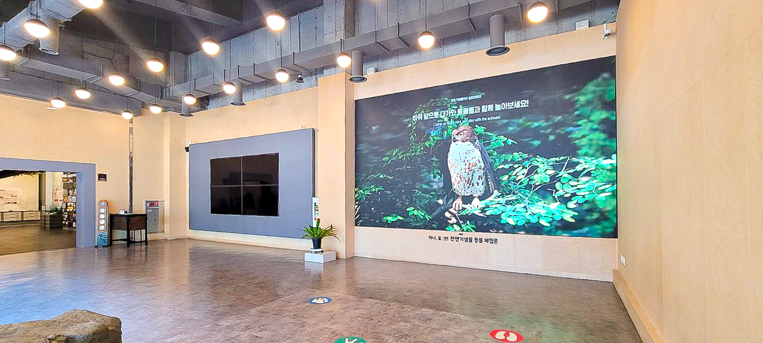 대전 천연기념물 센터 관람실 LED 스크린-03