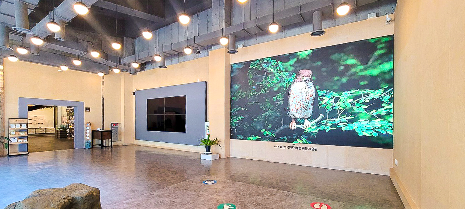 대전 천연기념물 센터 관람실 LED 스크린-04